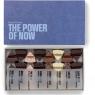 The Power of Now