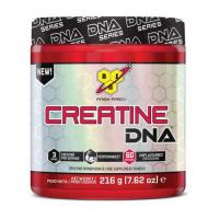 Creatine DNA