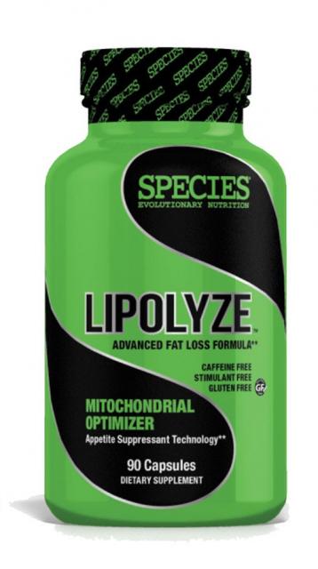 Lipolyze